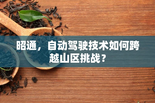 昭通，自动驾驶技术如何跨越山区挑战？