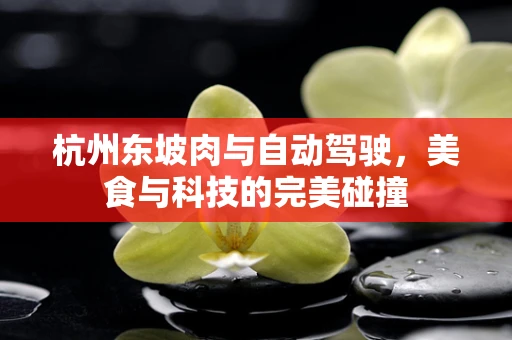 杭州东坡肉与自动驾驶，美食与科技的完美碰撞