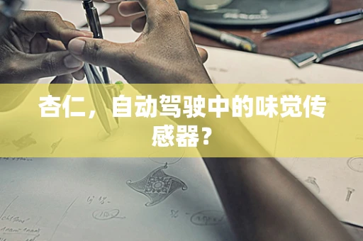 杏仁，自动驾驶中的味觉传感器？