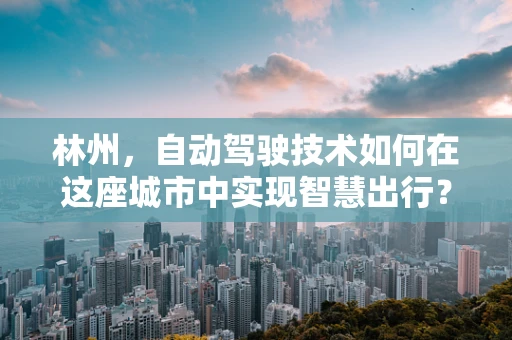 林州，自动驾驶技术如何在这座城市中实现智慧出行？
