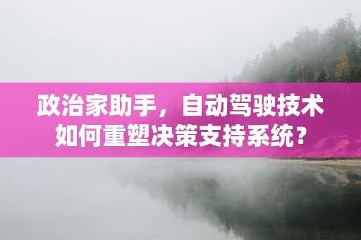 政治家助手，自动驾驶技术如何重塑决策支持系统？