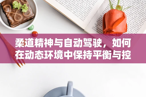 柔道精神与自动驾驶，如何在动态环境中保持平衡与控制？