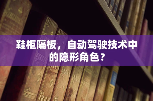 鞋柜隔板，自动驾驶技术中的隐形角色？