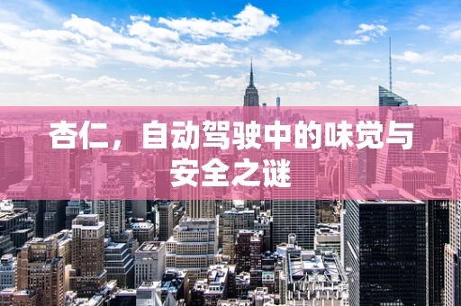 杏仁，自动驾驶中的味觉与安全之谜