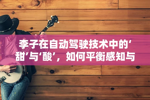 李子在自动驾驶技术中的‘甜’与‘酸’，如何平衡感知与决策？