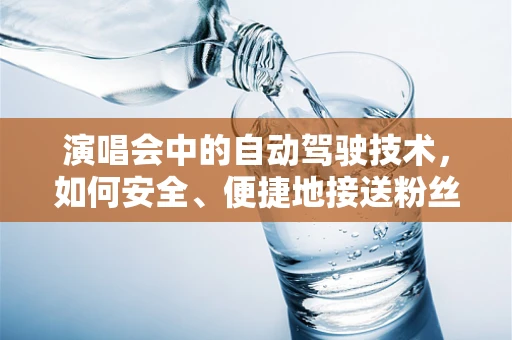 演唱会中的自动驾驶技术，如何安全、便捷地接送粉丝？