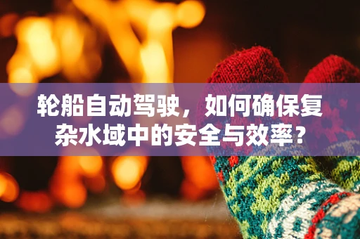 轮船自动驾驶，如何确保复杂水域中的安全与效率？