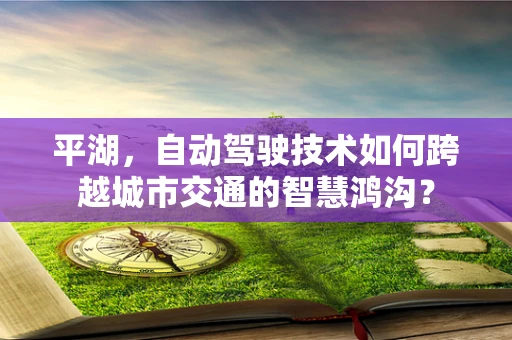 平湖，自动驾驶技术如何跨越城市交通的智慧鸿沟？