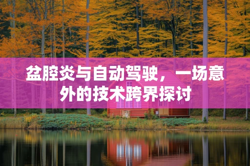 盆腔炎与自动驾驶，一场意外的技术跨界探讨