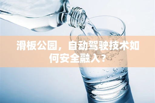 滑板公园，自动驾驶技术如何安全融入？