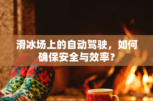 滑冰场上的自动驾驶，如何确保安全与效率？