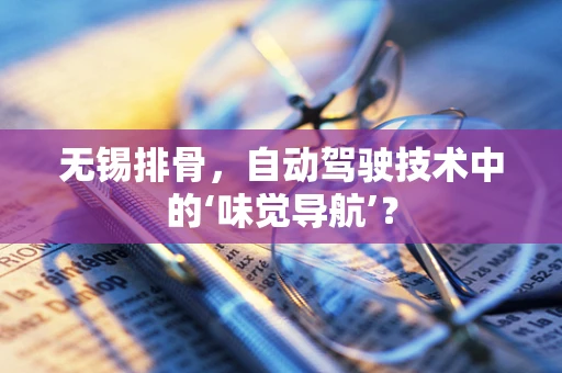 无锡排骨，自动驾驶技术中的‘味觉导航’？
