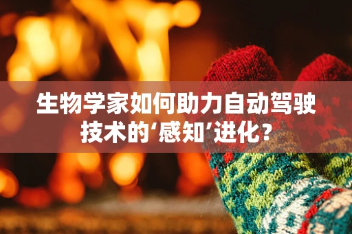生物学家如何助力自动驾驶技术的‘感知’进化？
