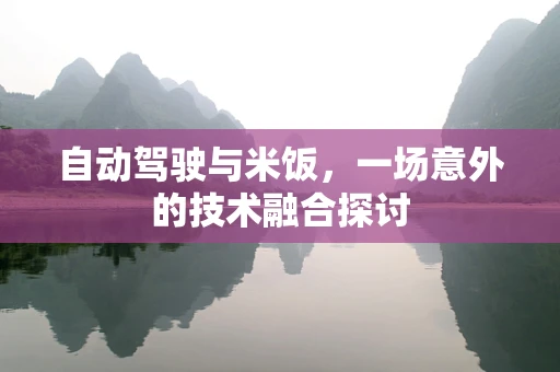 自动驾驶与米饭，一场意外的技术融合探讨