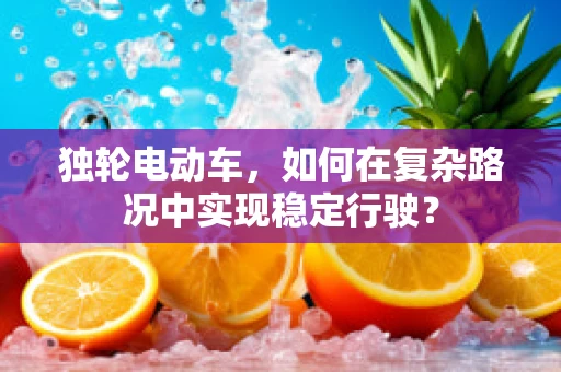 独轮电动车，如何在复杂路况中实现稳定行驶？