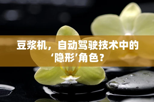 豆浆机，自动驾驶技术中的‘隐形’角色？