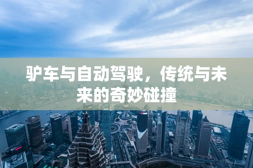 驴车与自动驾驶，传统与未来的奇妙碰撞