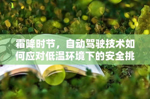 霜降时节，自动驾驶技术如何应对低温环境下的安全挑战？