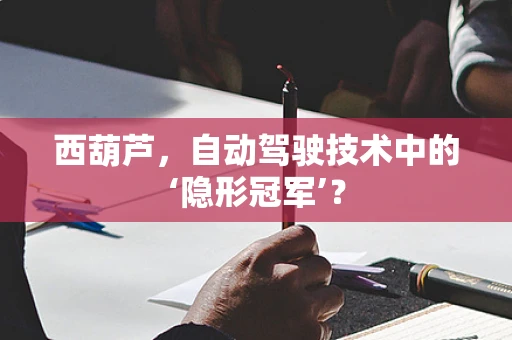 西葫芦，自动驾驶技术中的‘隐形冠军’？