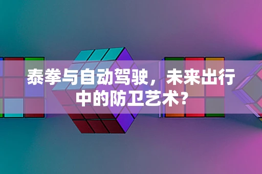 泰拳与自动驾驶，未来出行中的防卫艺术？