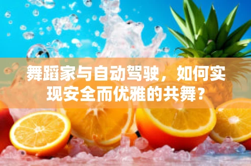 舞蹈家与自动驾驶，如何实现安全而优雅的共舞？