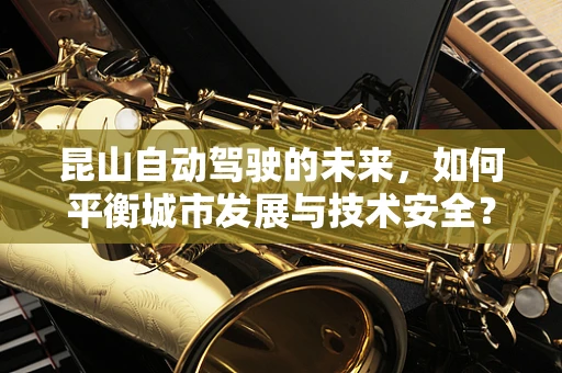 昆山自动驾驶的未来，如何平衡城市发展与技术安全？