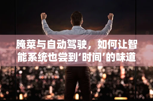 腌菜与自动驾驶，如何让智能系统也尝到‘时间’的味道？