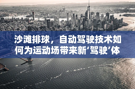 沙滩排球，自动驾驶技术如何为运动场带来新‘驾驶’体验？