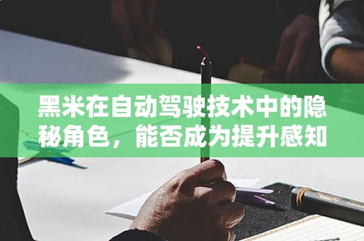 黑米在自动驾驶技术中的隐秘角色，能否成为提升感知精度的‘暗夜英雄’？