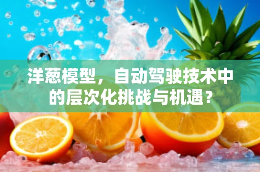 洋葱模型，自动驾驶技术中的层次化挑战与机遇？