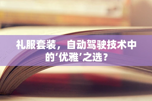 礼服套装，自动驾驶技术中的‘优雅’之选？