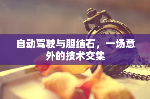 自动驾驶与胆结石，一场意外的技术交集