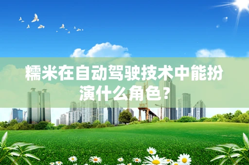 糯米在自动驾驶技术中能扮演什么角色？