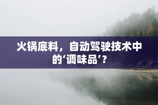 火锅底料，自动驾驶技术中的‘调味品’？
