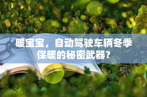 暖宝宝，自动驾驶车辆冬季保暖的秘密武器？