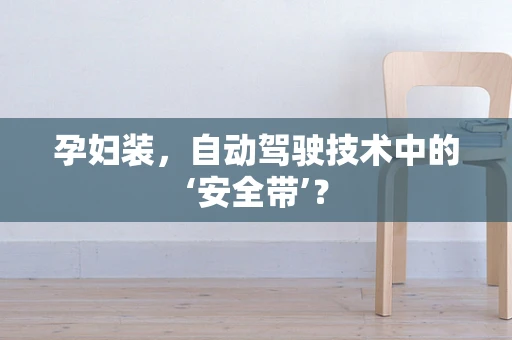 孕妇装，自动驾驶技术中的‘安全带’？