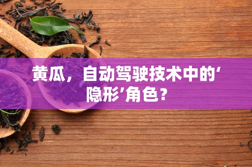 黄瓜，自动驾驶技术中的‘隐形’角色？