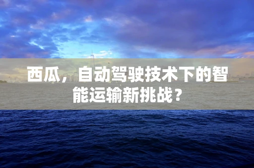 西瓜，自动驾驶技术下的智能运输新挑战？