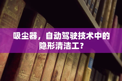 吸尘器，自动驾驶技术中的隐形清洁工？