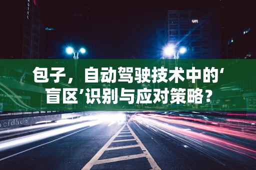 包子，自动驾驶技术中的‘盲区’识别与应对策略？