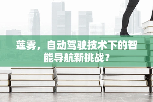 莲雾，自动驾驶技术下的智能导航新挑战？