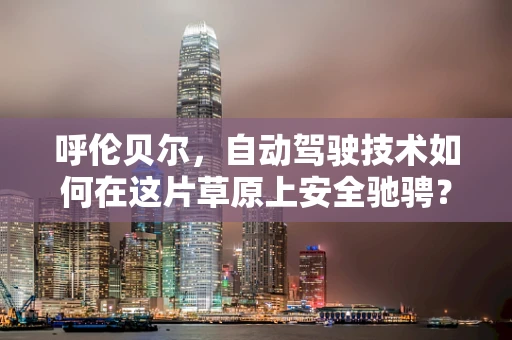 呼伦贝尔，自动驾驶技术如何在这片草原上安全驰骋？