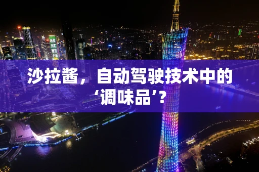 沙拉酱，自动驾驶技术中的‘调味品’？