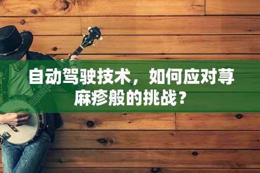 自动驾驶技术，如何应对荨麻疹般的挑战？