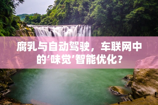 腐乳与自动驾驶，车联网中的‘味觉’智能优化？