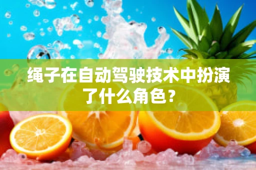 绳子在自动驾驶技术中扮演了什么角色？