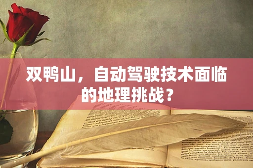 双鸭山，自动驾驶技术面临的地理挑战？