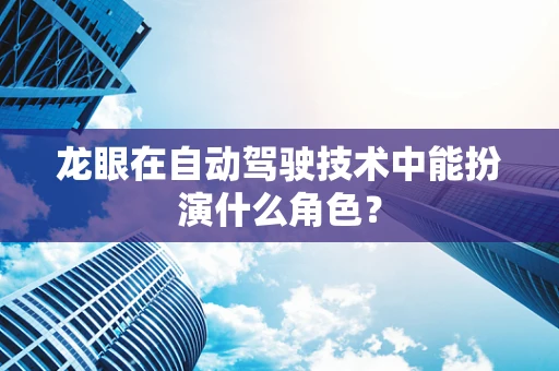 龙眼在自动驾驶技术中能扮演什么角色？