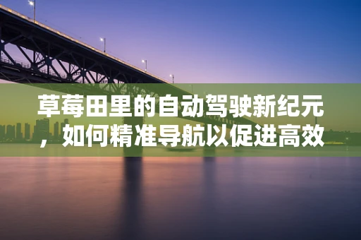 草莓田里的自动驾驶新纪元，如何精准导航以促进高效种植？