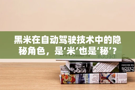 黑米在自动驾驶技术中的隐秘角色，是‘米’也是‘秘’？